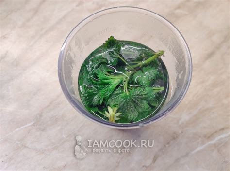 Хлеб с крапивой — рецепт с фото пошагово. Как приготовить крапивный хлеб?