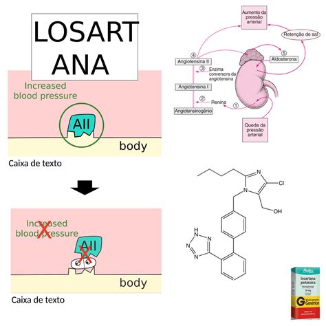 Losartana Mecanismo De Acao - Mecanismo De Ação Da Losartana - RETOEDU