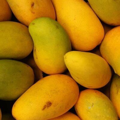 Descubre Las Deliciosas Y Diversas Variedades De Mango Que Existen En