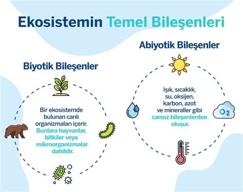 Tatlı Su Ekosistemi Besin Ağı