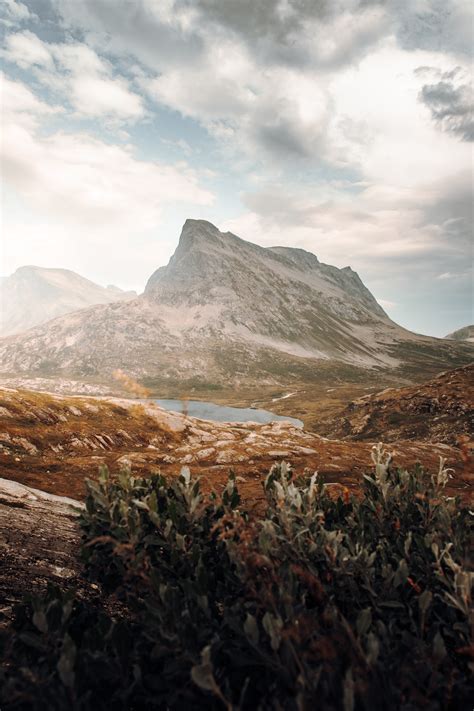 beijo gay na capa roteirista lança livro inspirado no episódio de censura na Bienal Lynne