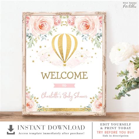 Hot Air Balloon Welcome Sign Blush Pink Gold Floral Girl Baby Shower Decorations Adventure St