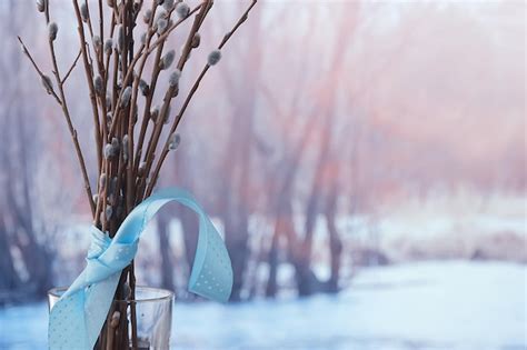 Premium Photo Pussy Willow Willow Branches Bloom Spring Concept Easter Holiday Background