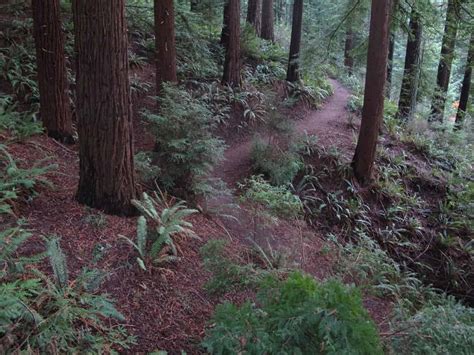 Best Portland Winter Hikes: Washington Park and Hoyt Arboretum