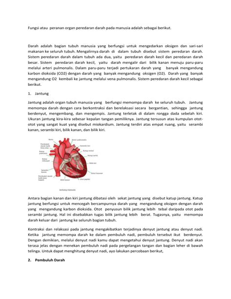 Fungsi Atau Peranan Organ Peredaran Darah Pada Manusia Adalah Sebagai Berikut