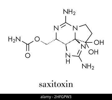 Saxitoxin (STX) paralytic shellﬁsh toxin (PST), chemical structure Skeletal formula Stock Vector ...