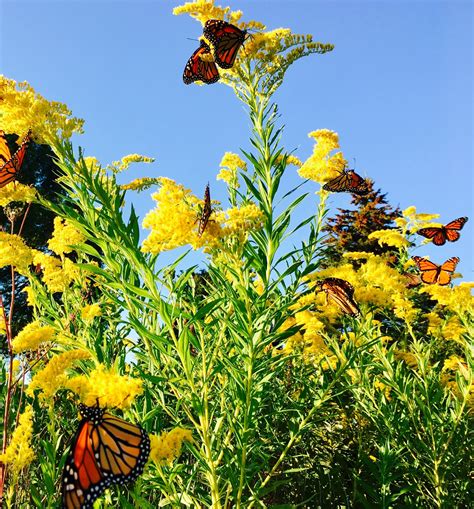 Syracuse University in DC - Last night, we welcomed 31 new students