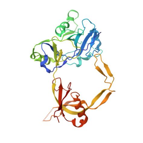 Rcsb Pdb Obn Structural Investigations Of A New L Dna Ligase