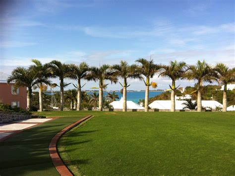 Bermuda Grass Seed Heat And Drought Resistant Seed Lawn Uk