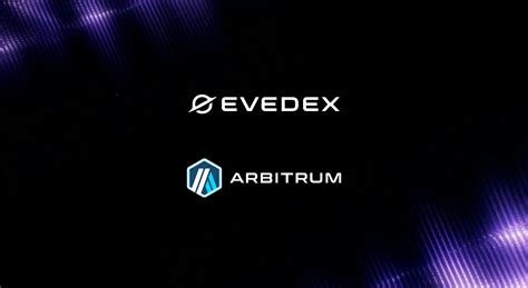 Liquidity Fragmentation in DeFi and How Layer 3 on Arbitrum Solves It ...