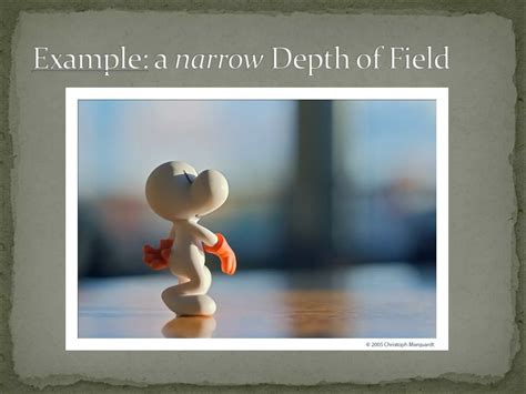 What Is The Depth Of Field Brainly 6