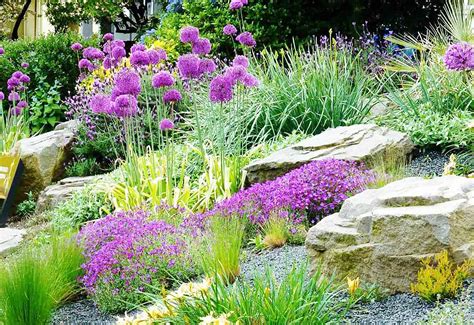 Plants And Flowers For A Rock Garden at Melissa Frink blog