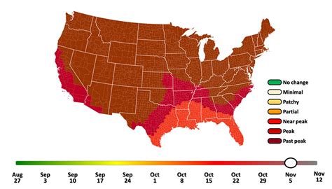 Fall Color Development | Purdue Extension Forestry & Natural Resources