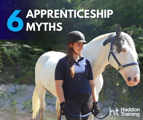 Debunking 6 Apprenticeship Myths - Haddon Training
