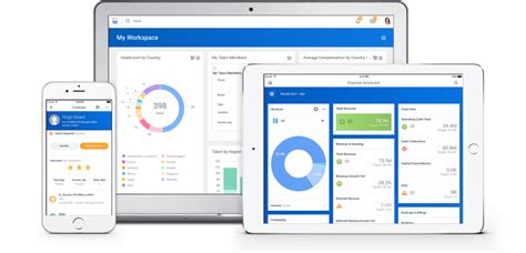 single cloud erp system  finance hr  planning workday ca