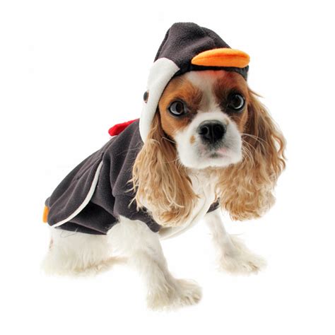 Puppe Love Penguin Dog Costume | BaxterBoo