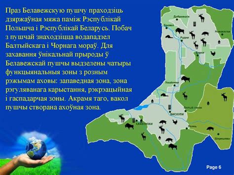 Белавежская пушча - презентация онлайн