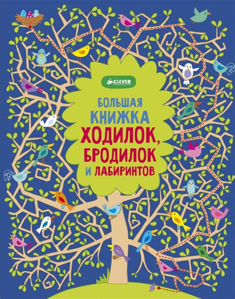 Большая книжка ходилок, бродилок и лабиринтов - Vilki Books
