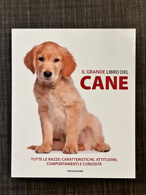Il Grande Libro Del Lettering Un Viaggio Creativo Nel Mondo Del Lettering A Mano Delle Font Moderne Dei Caratteri Illustrati 3