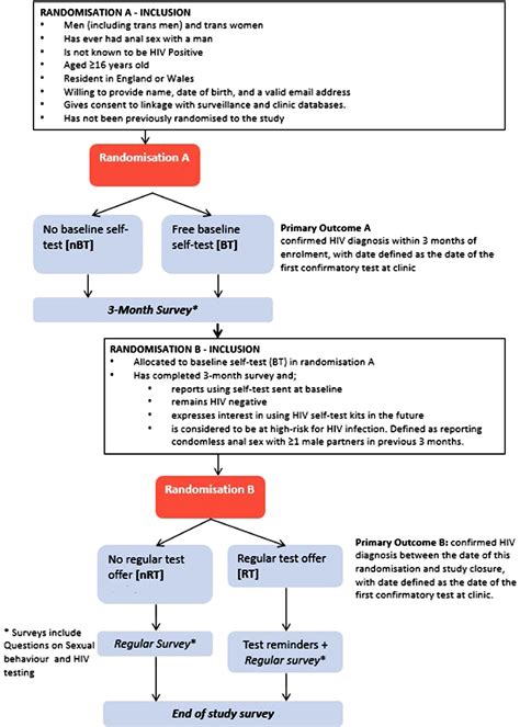I Think Im Gay Test Hohpapurchase