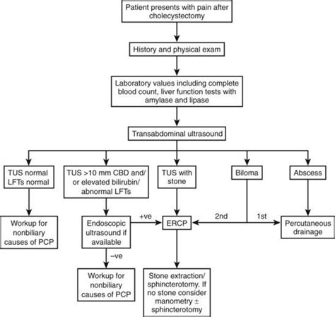 Ultrasound Of The Liver Biliary Tract And Pancreas Clinical Gate