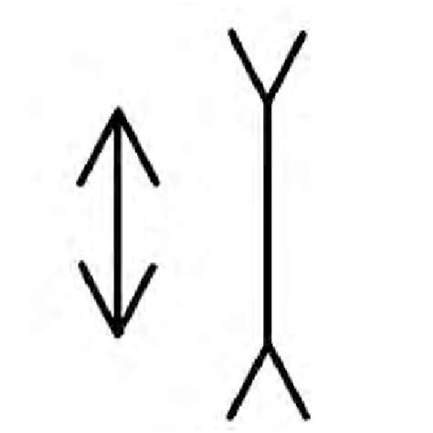 Müller-Lyer illusion | Download Scientific Diagram