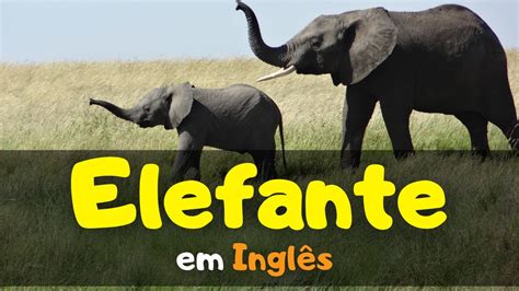 Como Falar Elefante Em Inglês - 🐘 Como dizer ELEFANTE em Inglês #elephant - YouTube