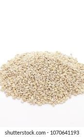 Hundred Naked Barley Royalty Free Images Stock Photos Pictures Shutterstock