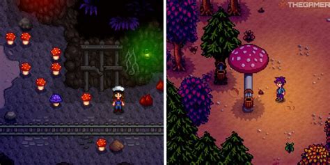 How To Find All Mushrooms In Stardew Valley