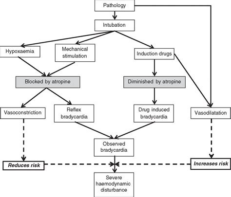 Bradycardia During Critical Care Intubation Mechanisms Significance