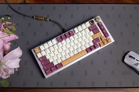 Glorious Gmmk Pro And Model O Wireless Glorious Thailand