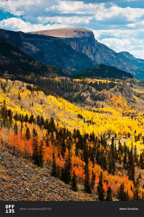 Rio Grande National Forest near Creede, Colorado stock photo - OFFSET