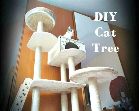 20 Amazing Diy Cat Tree Plans Diycraftsguru