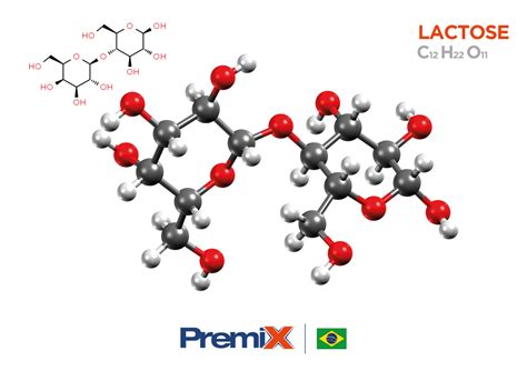 Leite De Cabra Saiba Mais Sobre Este Alimento Blog Premix