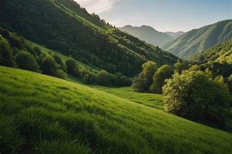 Calm And Serene Green Landscapes Premium Ai Generated Image