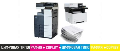 Сделать ксерокопию в Могилеве: цена ксерокопии документов