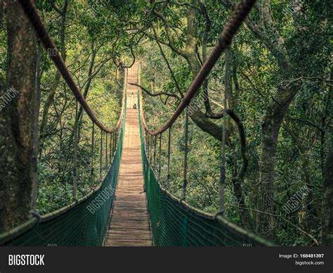 Hanging Bridge Jungle Image Photo Free Trial Bigstock