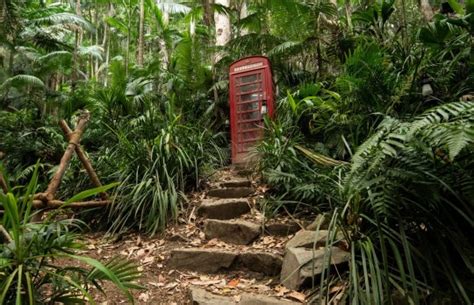 Where is I’m a Celebrity filmed? | Metro News