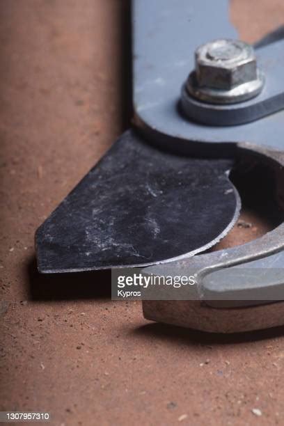 54 Loppers Stock Photos High Res Pictures And Images Getty Images