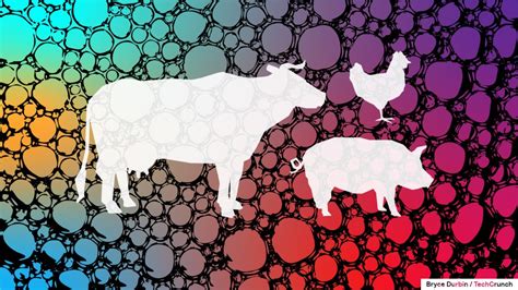 Even After 16b In Vc Money The Lab Grown Meat Industry Is Facing