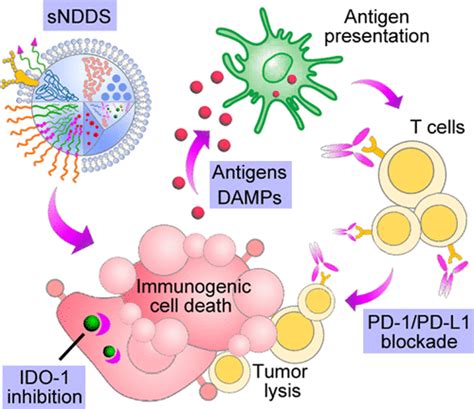 Smart Nanosized Drug Delivery Systems Inducing Immunogenic Cell Death