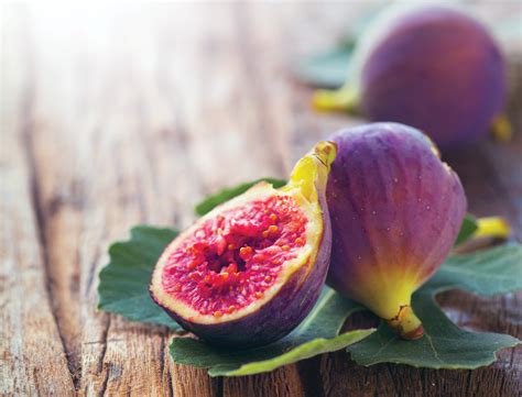 Cold Climate Figs How To Prune Fig Trees Mother Earth News