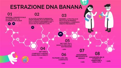 Estrazione Dna Banana