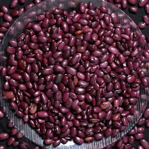 Turki Red Rajma High In Protein Packaging Size Loose At Rs Kg In