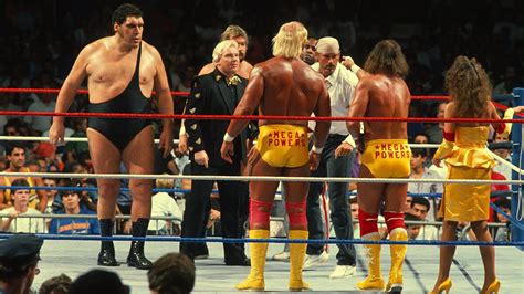 rise  fall   mega powers  wwe