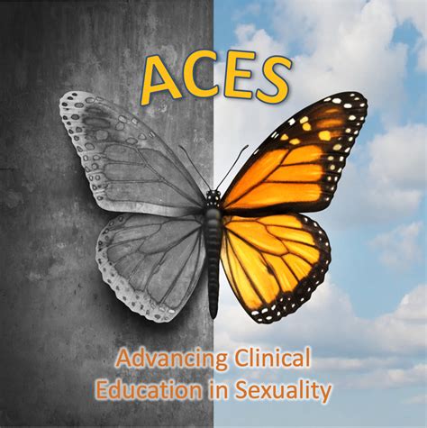 Isee Sex Education Sex Therapy Counseling Training Programs Isee Institute For
