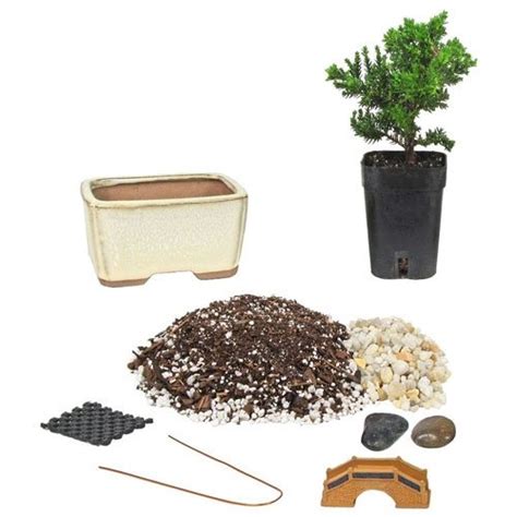 Starter 4" Ceramic Bonsai Kit | Eve's Garden Gifts