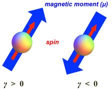 Gyromagnetic ratio (γ) - Questions and Answers in MRI