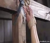 Hot Ass Slave Gets Mummified In Dungeon PORNDROIDS