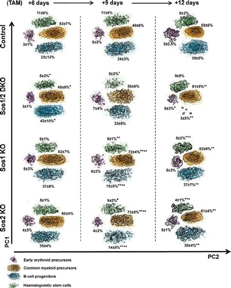 Bone Marrow Progenitor Populations In Sos KO Mice By Analysis Of Single